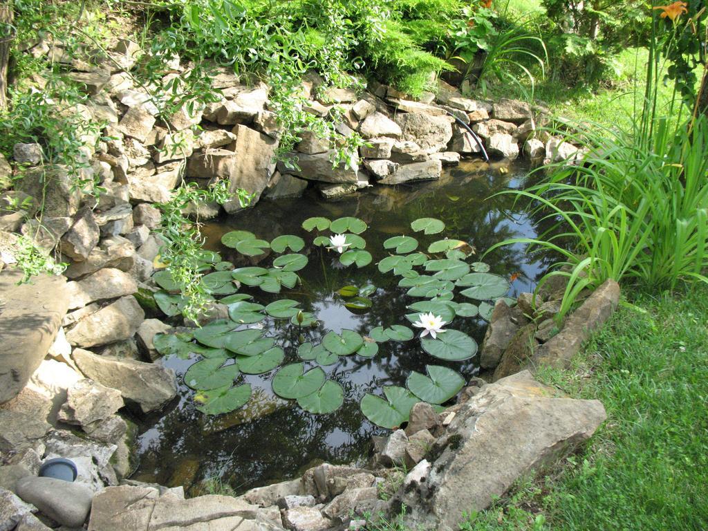 Guest House Slivek 外观 照片
