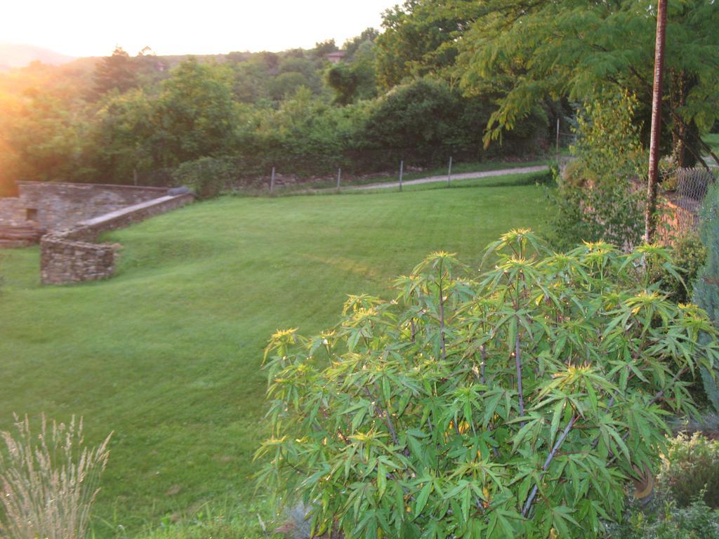 Guest House Slivek 外观 照片